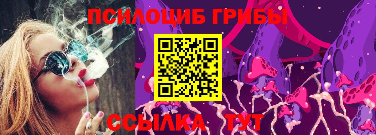 Галлюциногенные грибы Cubensis Тобольск